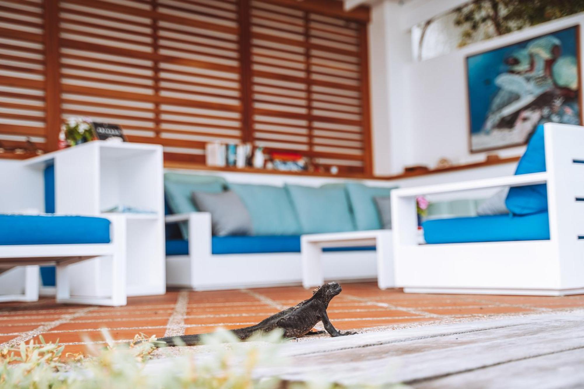 Hotel Cucuve Puerto Ayora  Kültér fotó